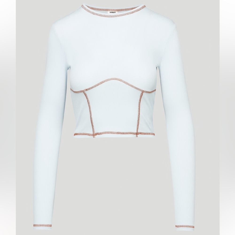 Aritzia Sunday Best Dove Longsleeve Top